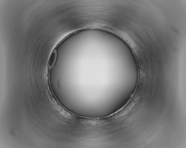 X0000112060948200908181155