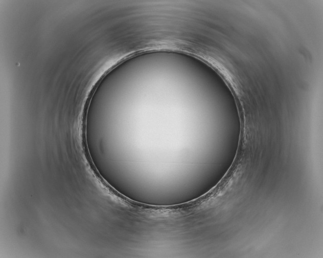 X0000112060949200908181155