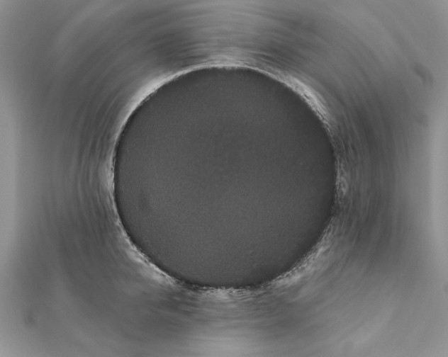 X0000112060950200908181155