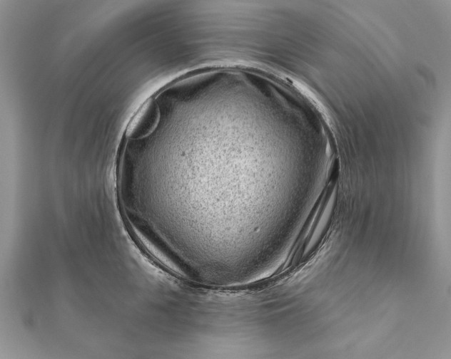 X0000112060951200908181155