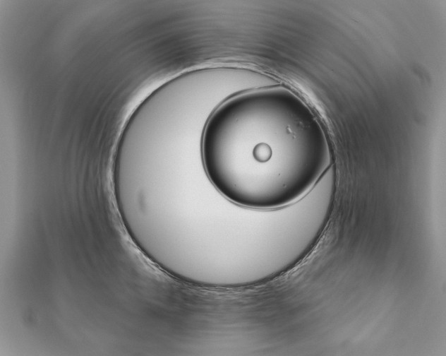 X0000112060952200908181155