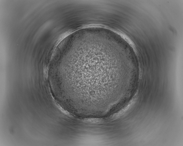 X0000112060953200908181155