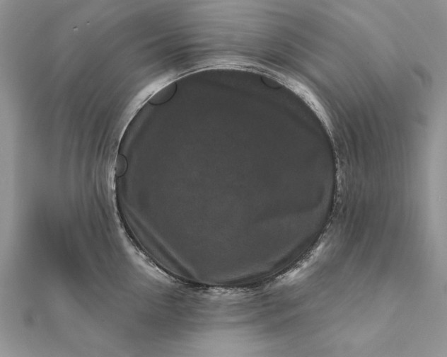 X0000112060954200908181155