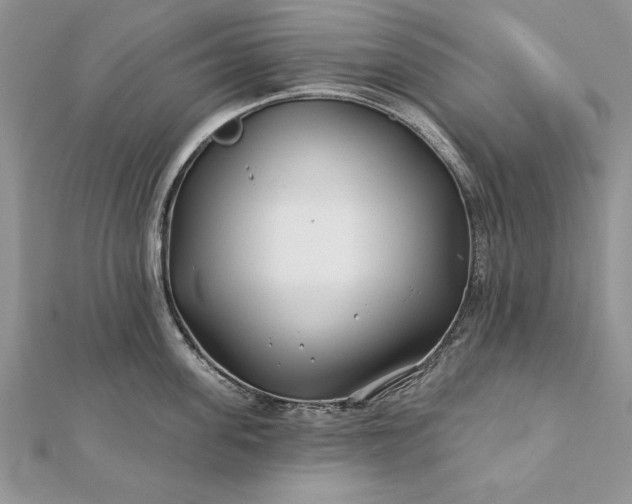 X0000112060955200908181155