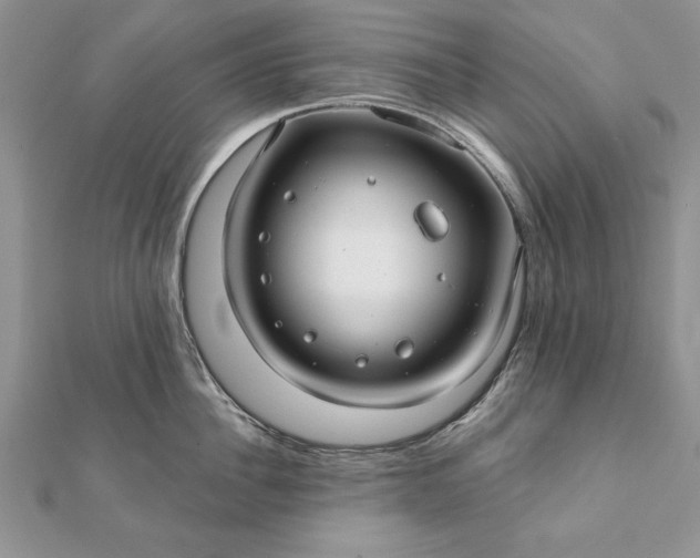 X0000112060956200908181155