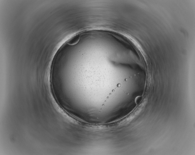 X0000112060957200908181155