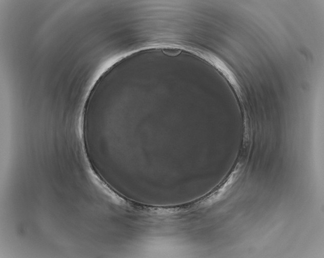 X0000112060958200908181155