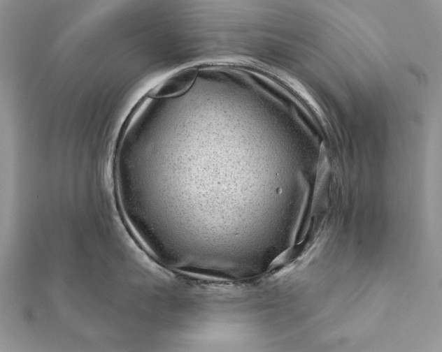 X0000112060959200908181155