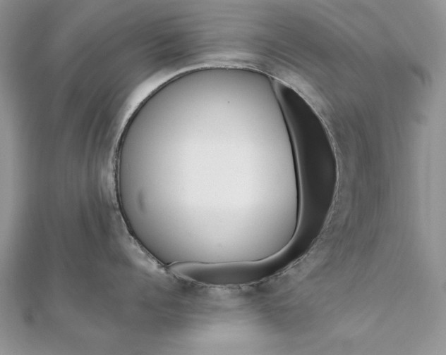 X0000112060960200908181155