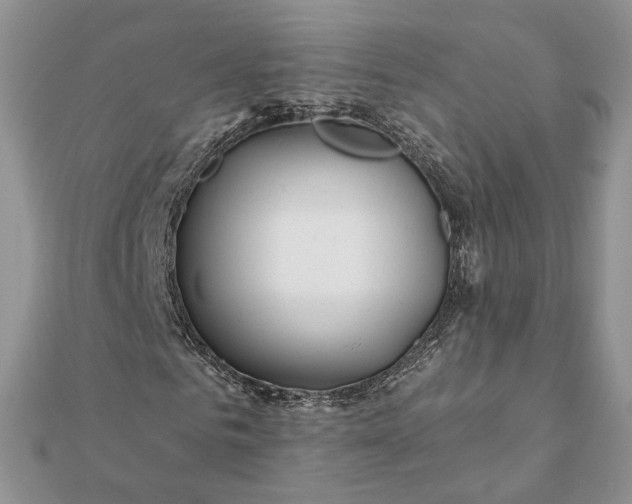 X0000112060961200908181154