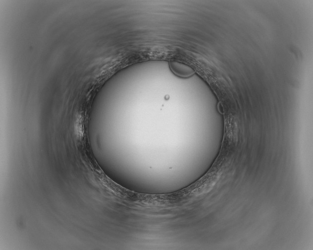 X0000112060962200908181154