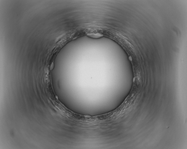 X0000112060964200908181154