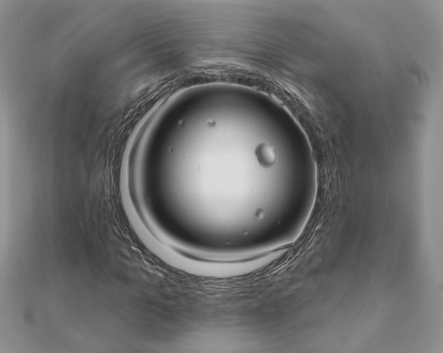 X0000112060965200908181154