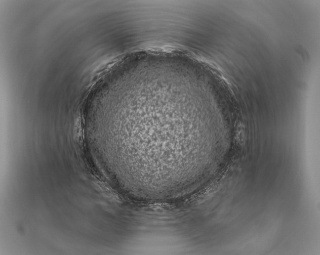 X0000112060966200908181154