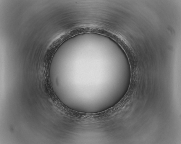 X0000112060967200908181154