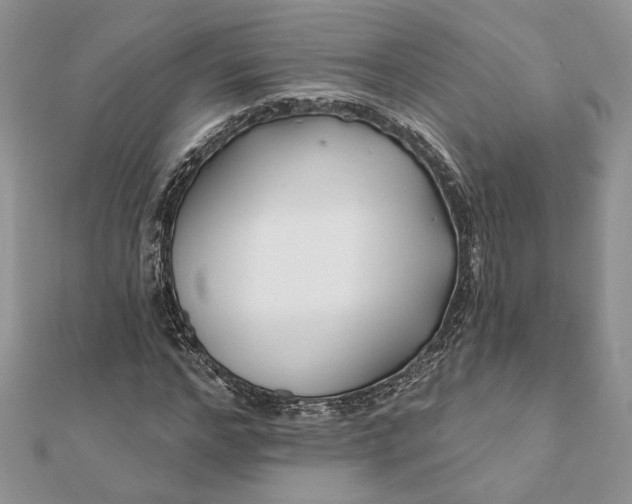 X0000112060968200908181154