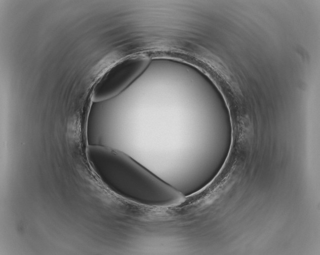 X0000112060969200908181154