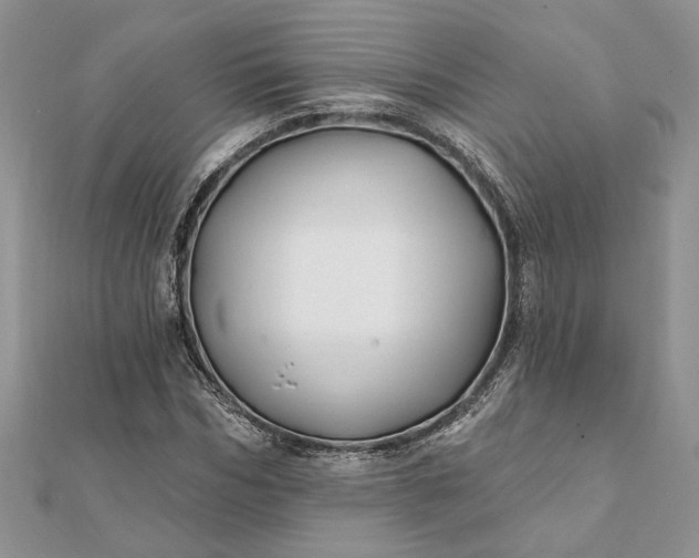 X0000112060970200908181154