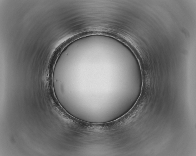 X0000112060971200908181154