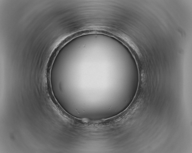 X0000112060972200908181154