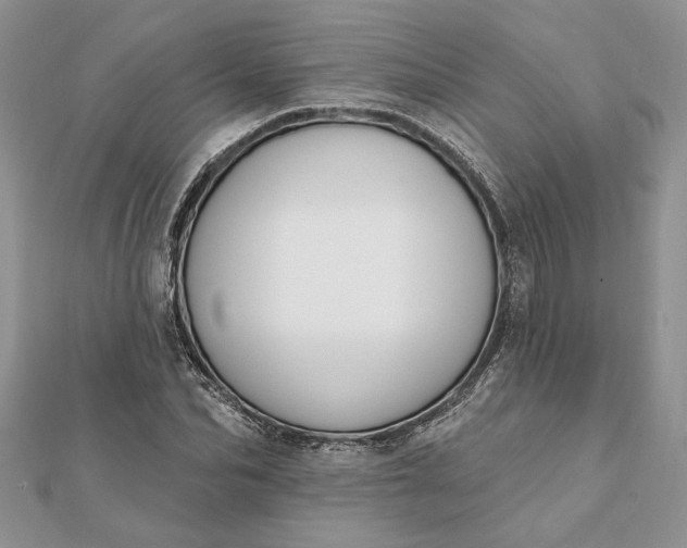 X0000112060974200908181154