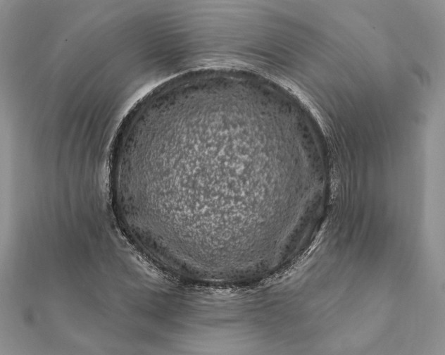 X0000112060975200908181154