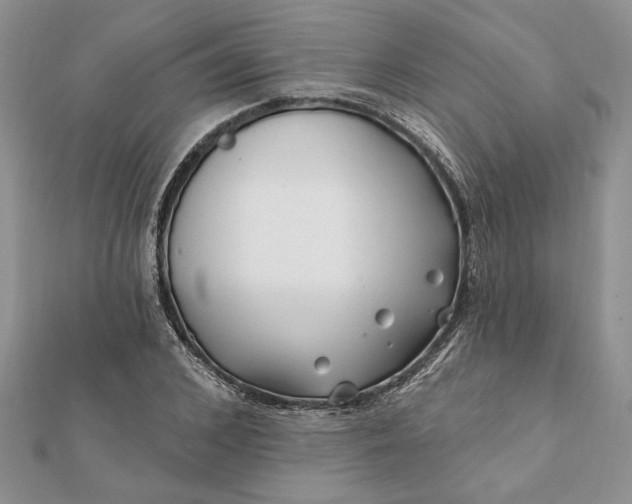 X0000112060976200908181154