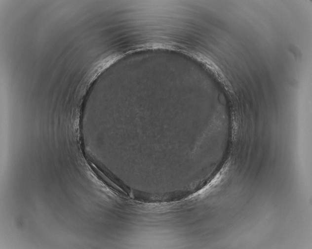 X0000112060977200908181154