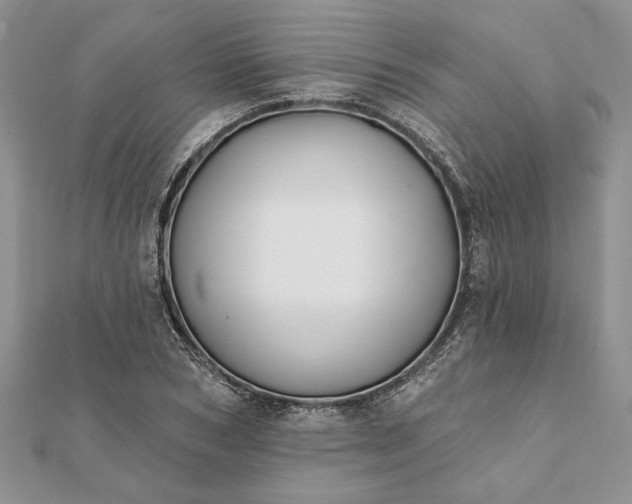 X0000112060978200908181154