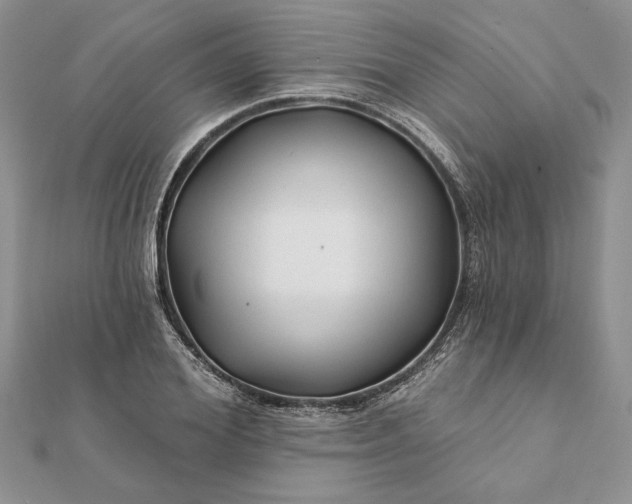 X0000112060980200908181154