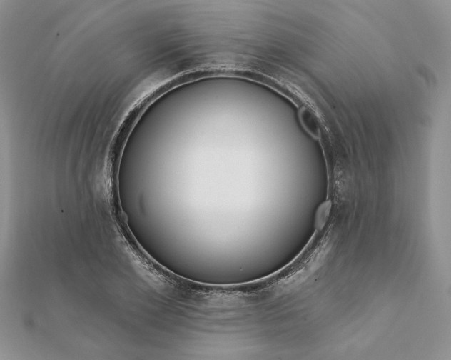 X0000112060981200908181154