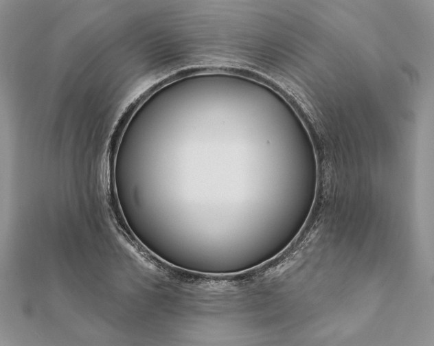 X0000112060982200908181154