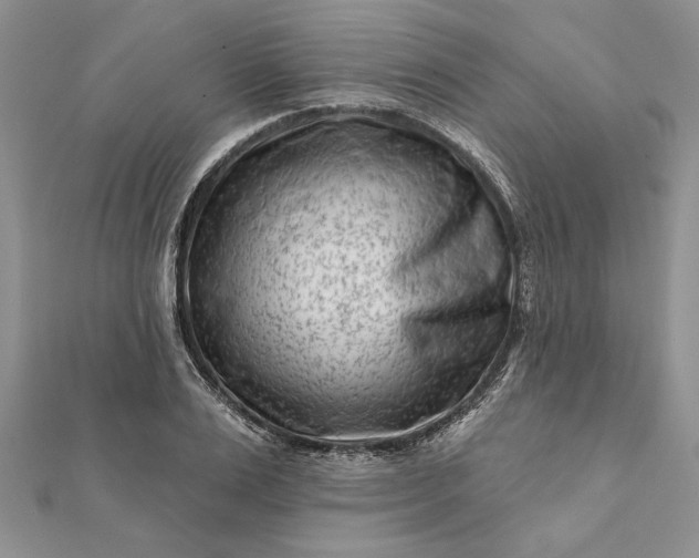 X0000112060983200908181154