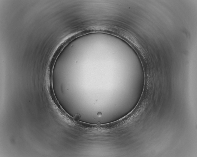 X0000112060984200908181154