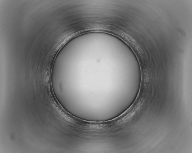 X0000112060985200908181154