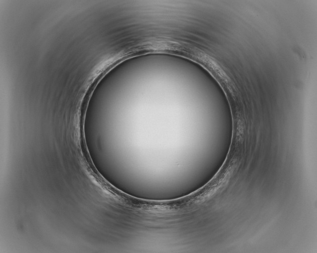 X0000112060986200908181154