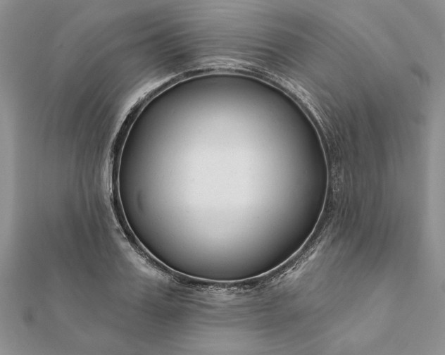 X0000112060987200908181154