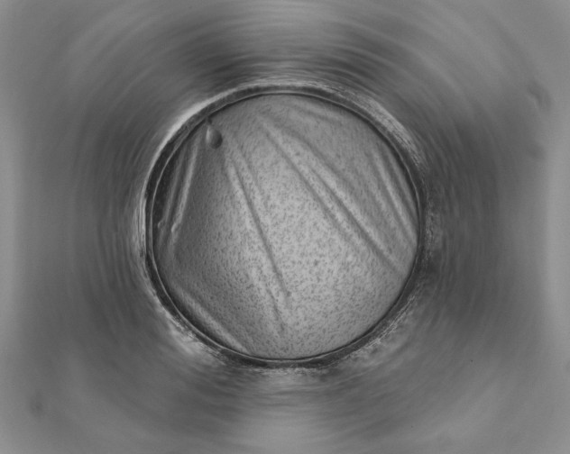 X0000112060988200908181154