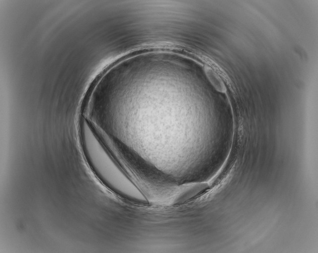 X0000112060989200908181154