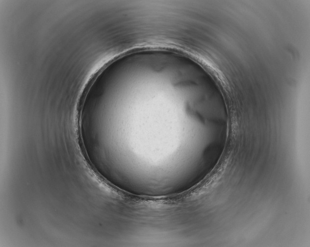 X0000112060990200908181154