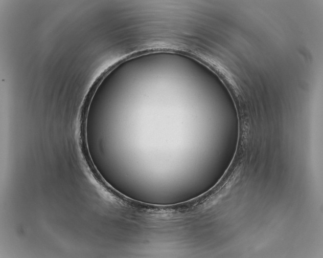 X0000112060991200908181154