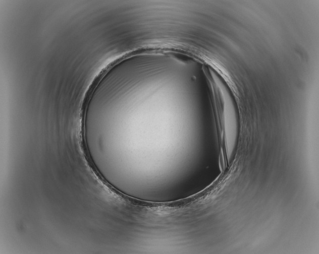 X0000112060992200908181154