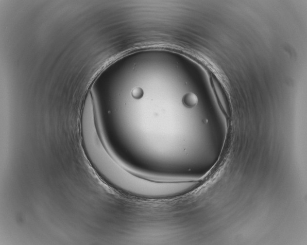 X0000112060993200908181154