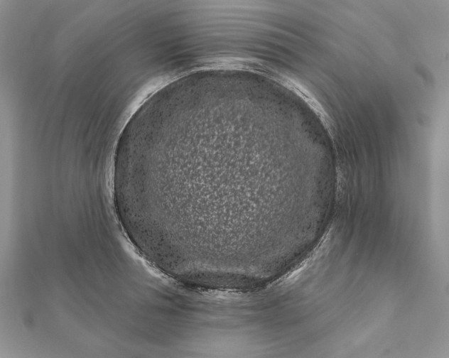 X0000112060994200908181154