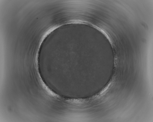 X0000112060995200908181154