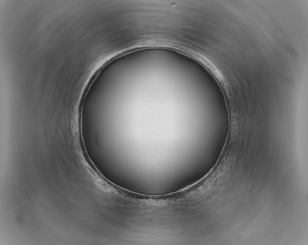 X0000112060996200908181154