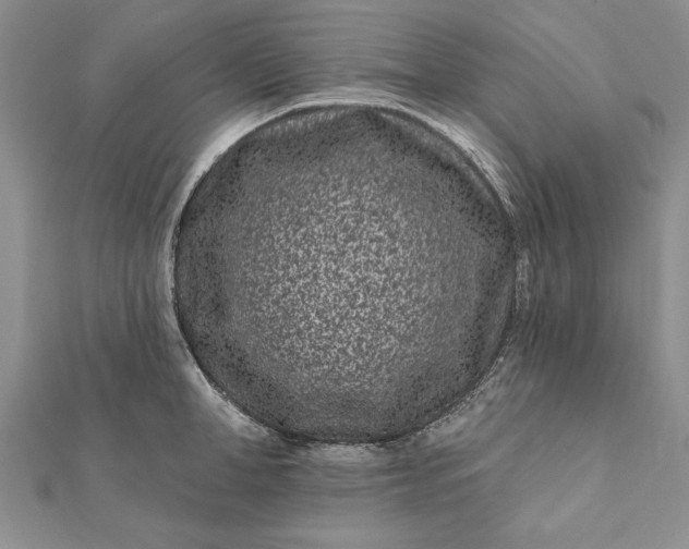 X0000112060998200908181154