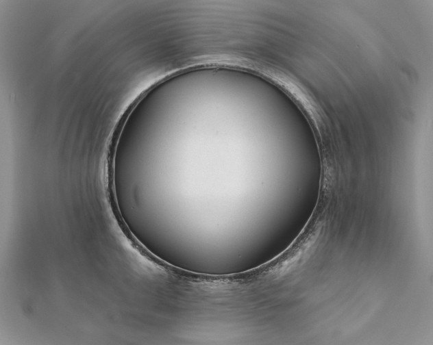 X0000112060999200908181154