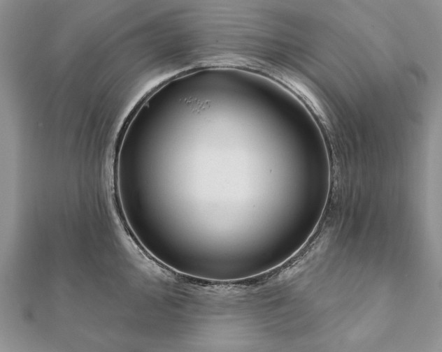 X0000112061000200908181154