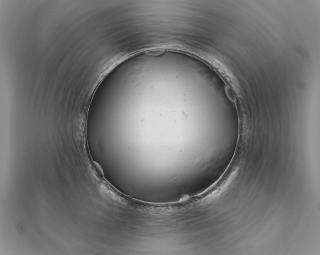 X0000112061001200908181154